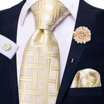 Коприна Бизнес Вратовръзка в Клетката цвят Шампанско Hi-Tie 2023, Нов Дизайн на Мъжка Вратовръзка, Луксозен 8,5 см, Брошка-Родословни обици, Сватбен Вратовръзка За Мъжете