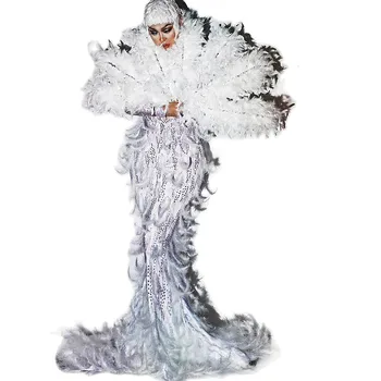 Пенливи инкрустирани кристали дамски рокли от бели пера с дълга опашка, дрехи за изпълнения на певици и танцьорки в нощен клуб