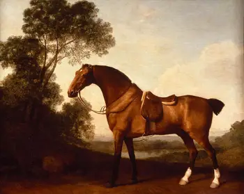 продажба на едро на картината # GOOD ANIMAL HORSE ART Оседланный гнедой ловец, Джордж Стъбс ПЕЧАТ на КАРТИНИ върху ПЛАТНО
